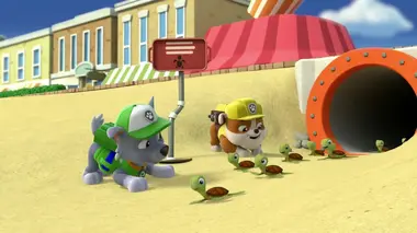 Les Bébés tortues de mer