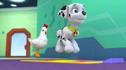 Paw Patrol, la Pat'Patrouille  S01E14 Un sacré charivari