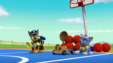 Le match de basket-ball