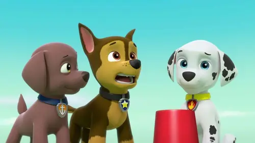 Paw Patrol, la Pat'Patrouille S02E10 Le concours de talents en streaming