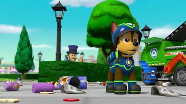 Des chatons qui sèment la pagaille