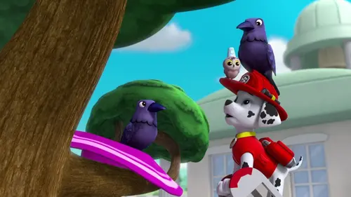 Photos de Paw Patrol, la Pat'Patrouille S03E25 Les Corbeaux