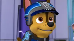 Paw Patrol, la Pat'Patrouille S05E18 Mission secrète : les amis de la princesse