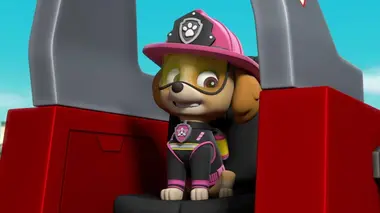 Sauvetage extrême : Alerte grosse chaleur