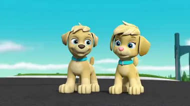 Un sauvetage bien imprudent