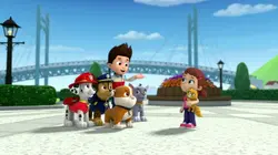 Paw Patrol, la Pat'Patrouille  S01E05 Chat-tastrophe