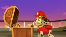 Paw Patrol, la Pat'Patrouille S01E26 Le trésor du pirate