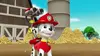 Paw Patrol, la Pat'Patrouille S02E10 Le concours de talents