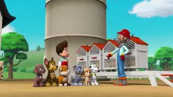 Paw Patrol, la Pat'Patrouille S02E12 Le nid d'abeilles en streaming