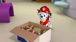 Paw Patrol, la Pat'Patrouille S02E16 Le feu d'artifice en streaming