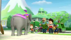 Paw Patrol, la Pat'Patrouille S01E13 Le cirque