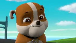 Paw Patrol, la Pat'Patrouille Les rollers de Danny en streaming