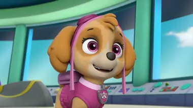 Le camion-poubellinger