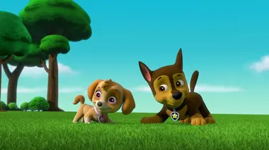 La Super Patrouille, puissance maximale : Les Clones de M. Hellinger