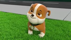 Paw Patrol, la Pat'Patrouille S08E01 Galinetta et Roucoco