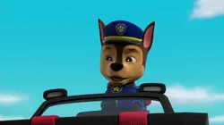 Paw Patrol, la Pat'Patrouille S08E10 Les poissons-pattes