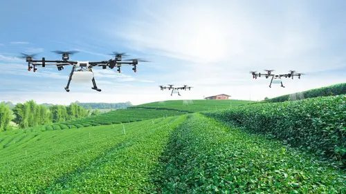 Pays-Bas, les sorciers de nos assiettes ?