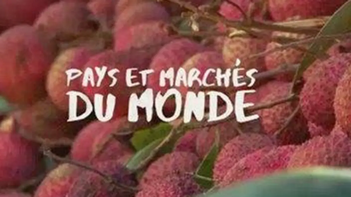 Pays et marchés du monde Seychelles