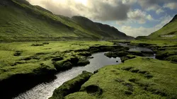 Pays et marchés du monde Ecosse