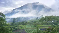 Pays et marchés du monde Irlande : Dublin