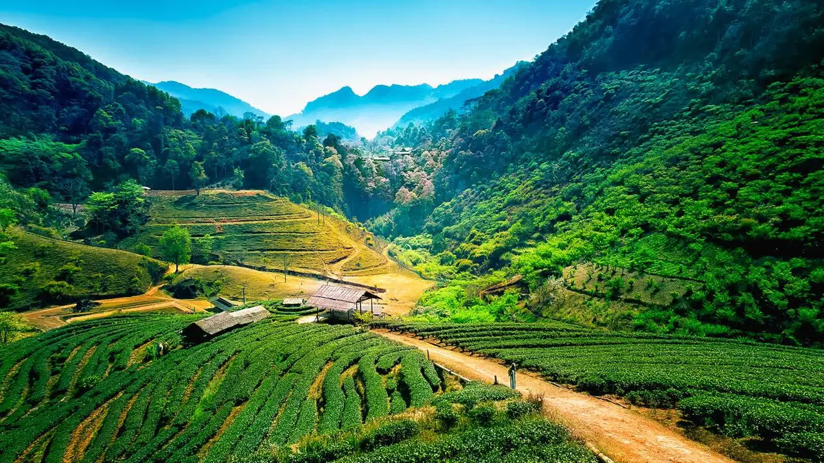 Pays et marchés du monde S02E26 Thaïlande : Chiang Mai