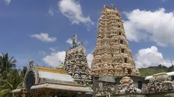 Pays et marchés du monde Sri Lanka-Matale