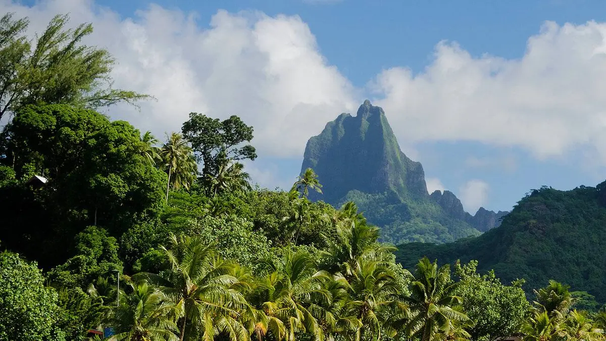 Pays et marchés du monde S02E04 Tahiti - Taravao (Polynésie française)