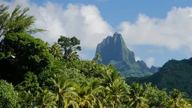 Tahiti - Taravao (Polynésie française)