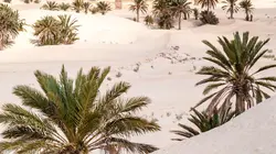 Pays et marchés du monde