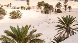 Pays et marchés du monde Tunisie : Douz