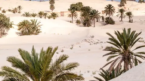 Pays et marchés du monde Tunisie : Douz