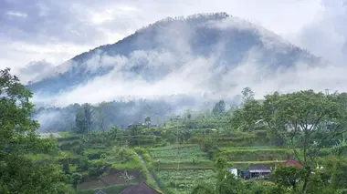 Indonésie : Java, Banyuwangi