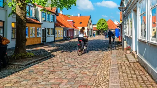 Pays et marchés du monde Danemark : Odense