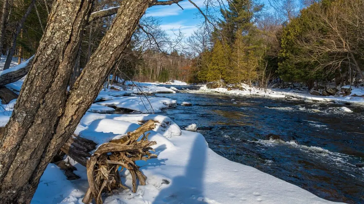 Pays et marchés du monde Canada-Ontario