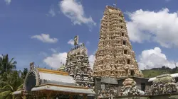 Pays et marchés du monde Sri Lanka-Matale