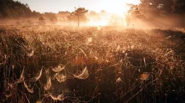 Montagnes, forêts et marais