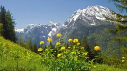 Paysages d'Europe  Montagnes, forêts et marais