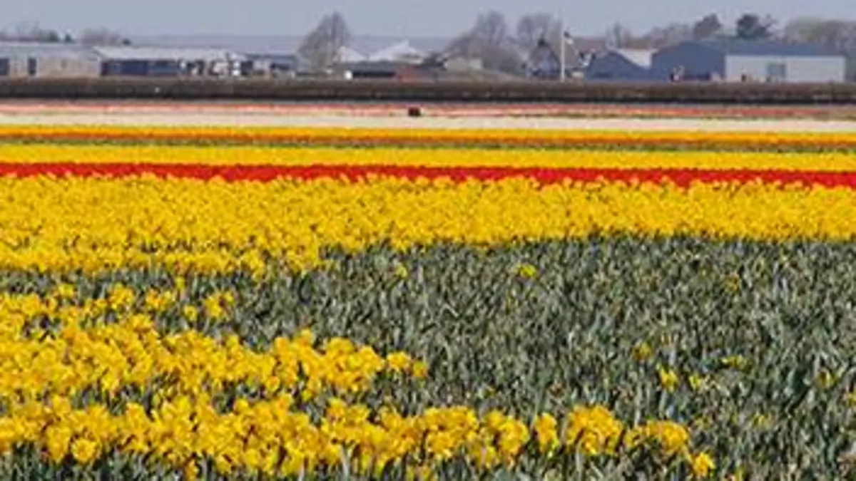 Paysages d'ici et d'ailleurs S02E00 Les polders