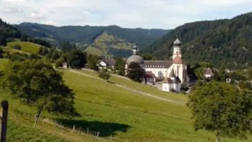 Paysages d'ici et d'ailleurs S01E14 La Forêt-Noire