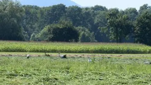 Casting Paysages d'ici et d'ailleurs S01E19 L'Alsace