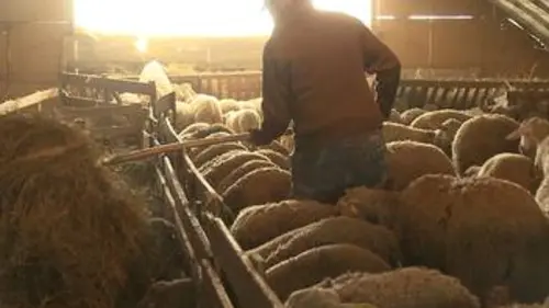 Paysages d'ici et d'ailleurs E16 Basilicate, Italie