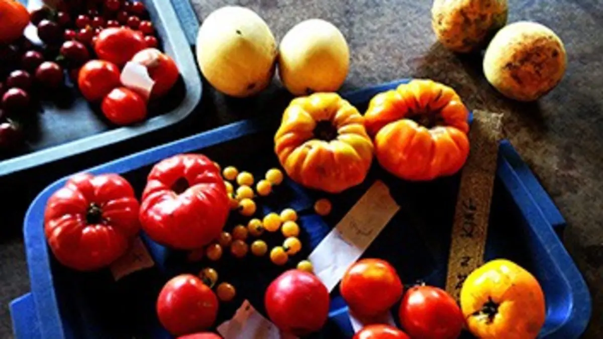 Paysans du monde : la révolution agriculturelle Canada