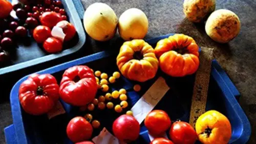 Casting Paysans du monde Sicile