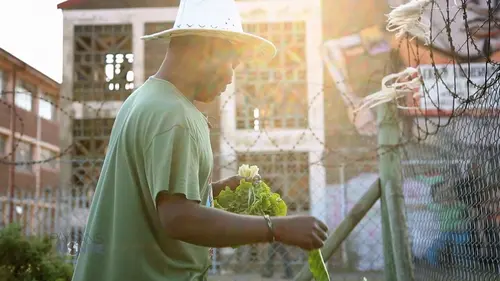 Paysans du monde : la révolution agriculturelle E12 Grèce (2/2)