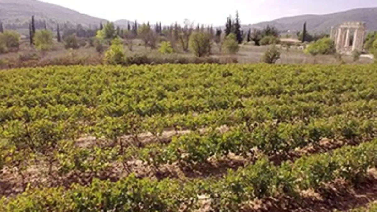 Paysans du monde : la révolution agriculturelle E06 Grèce