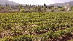 Visuel de Paysans du monde : la révolution agriculturelle