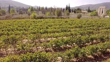 Grèce (1/2)