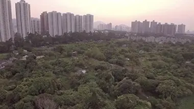Hong Kong : l'agriculture urbaine