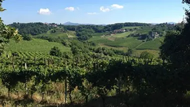 Italie (1/2) : biodynamie