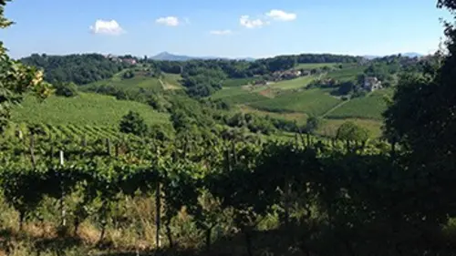 Paysans du monde : la révolution agriculturelle E17 Italie (1/2) : biodynamie